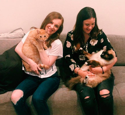 maes-gatinhos