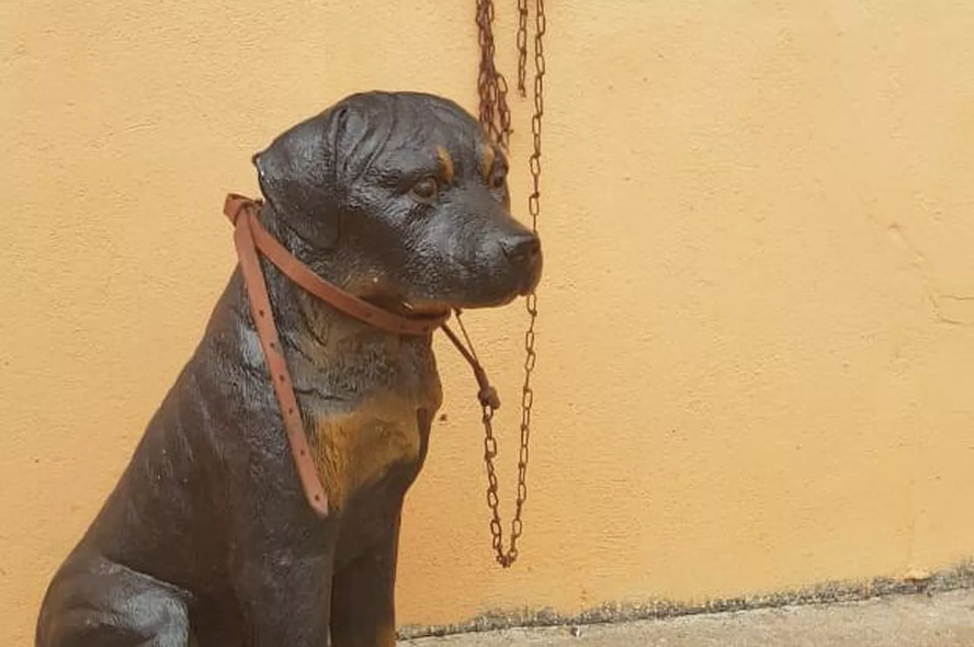 Polícia apura denúncia de maus-tratos a cão, mas encontra réplica
