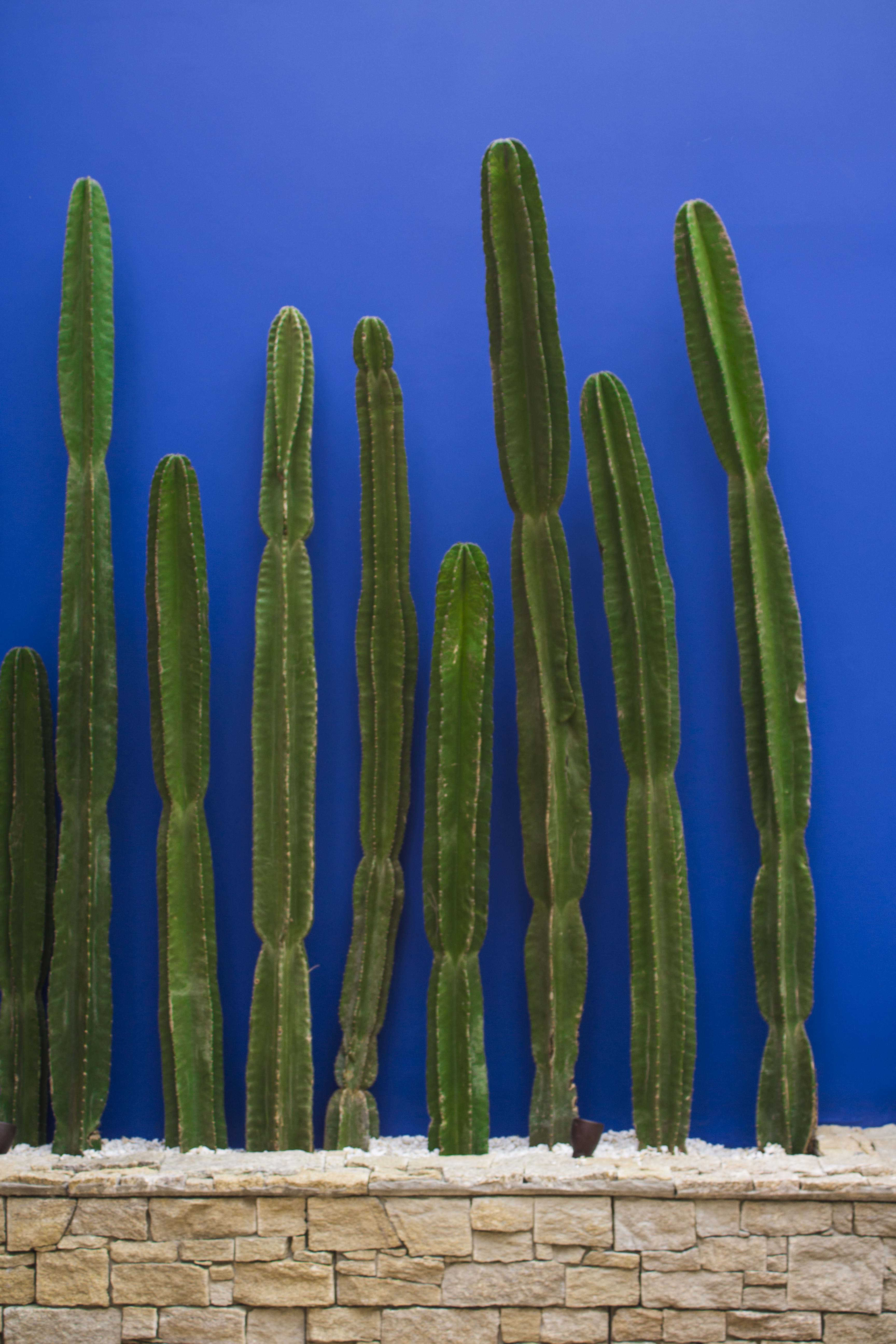 CASACOR S&Atilde;O PAULO