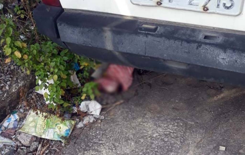 Recém-nascido é encontrado embaixo de carro