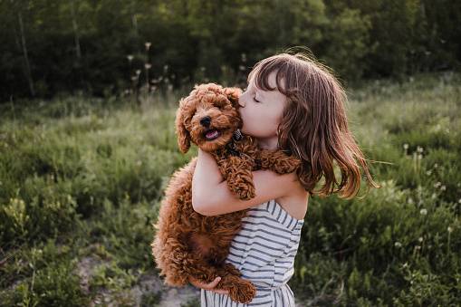 Como adaptar um novo pet aos filhos