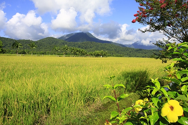 Região do Piraí - Joinville - SC
