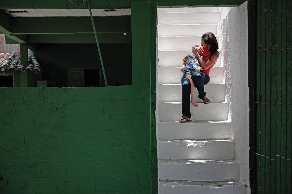 Cientistas identificam forma de bloquear zika e impedir microcefalia