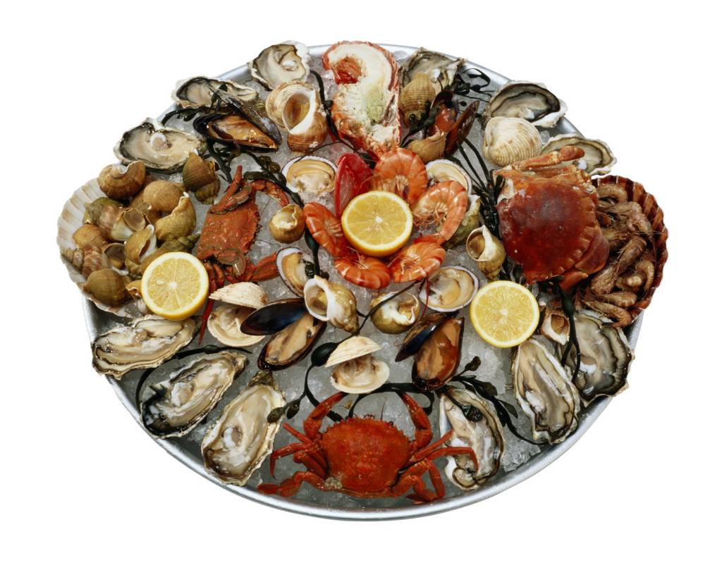 Seafood Tray