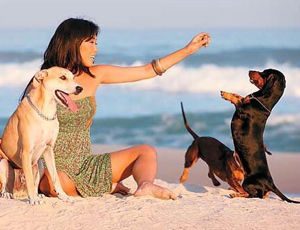Dani Suzuki lamenta não ter vacinado seus cachorros, agora doentes