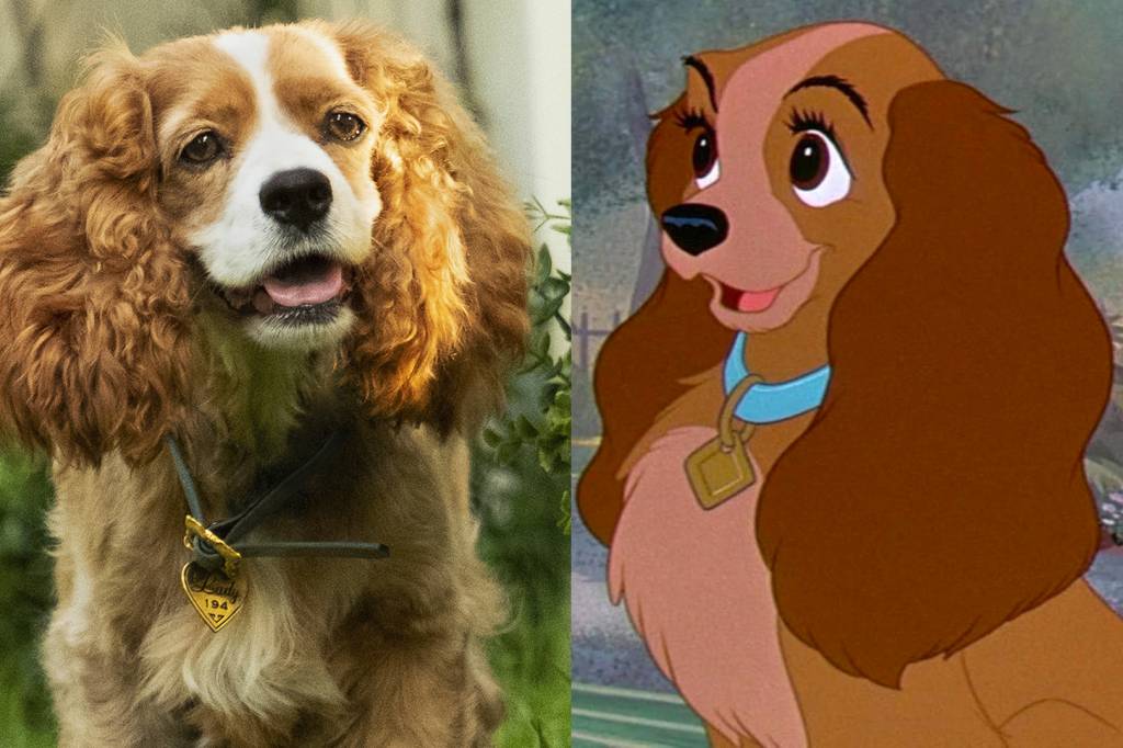 As primeiras imagens dos cães reais de A Dama e o Vagabundo são fofíssimas