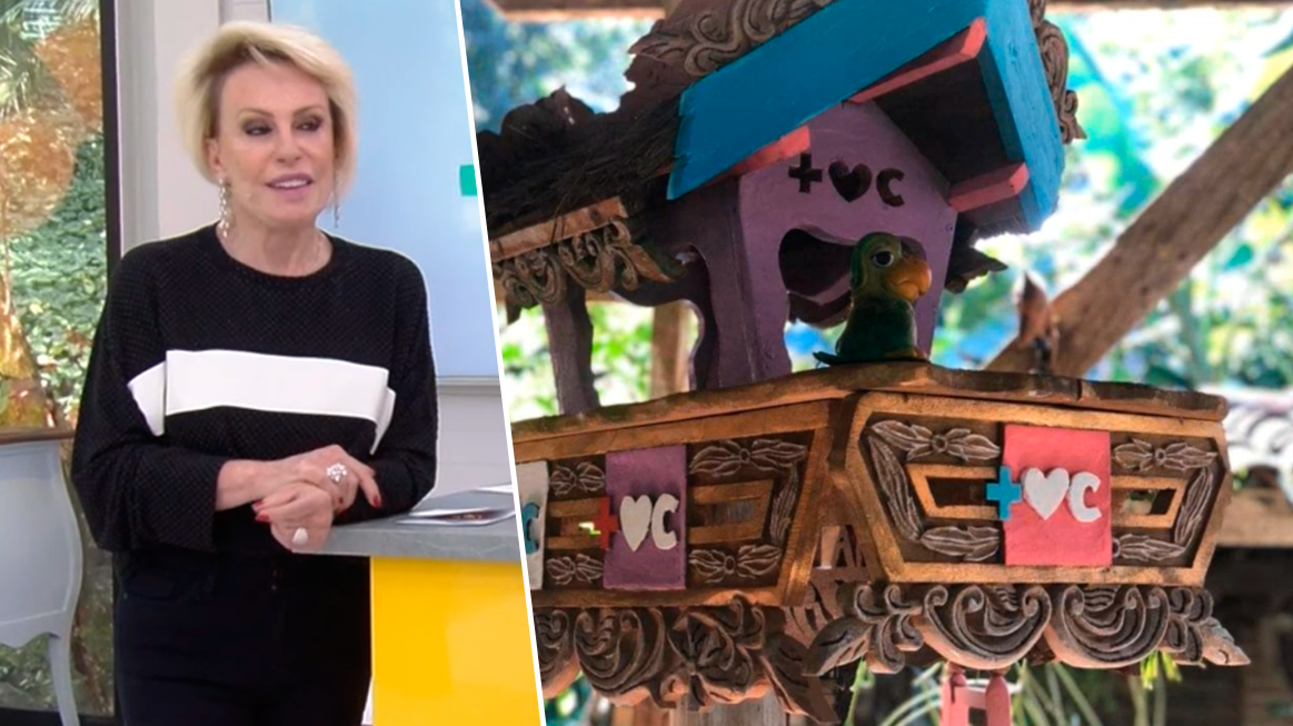 Ana Maria Braga recusou presente em rede nacional e todos ficaram chocados