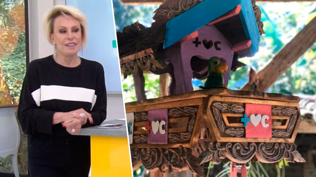 Ana Maria Braga recusou presente em rede nacional e todos ficaram chocados