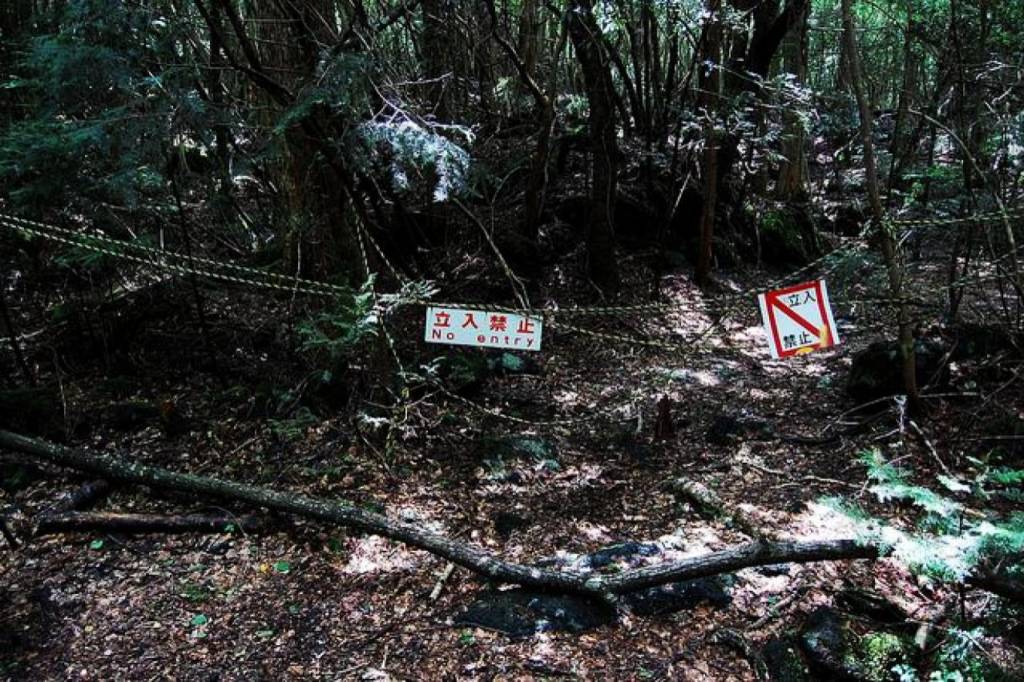 Saiba o que é a Aokigahara, a floresta dos suicidas no Japão