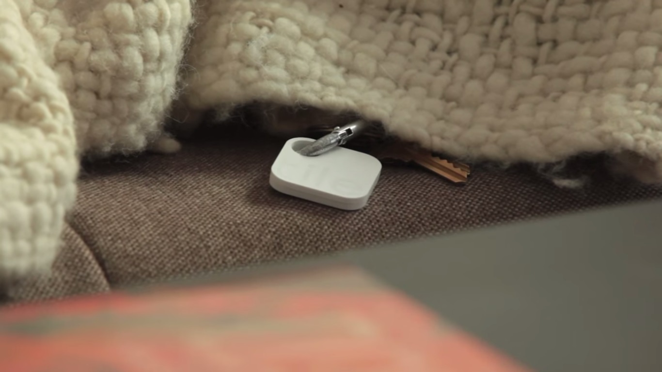 divulga&ccedil;&atilde;o