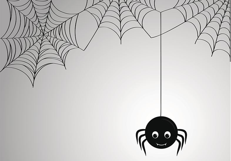 Halloween ou vida real? Aranha carrega rato maior que ela pela parede