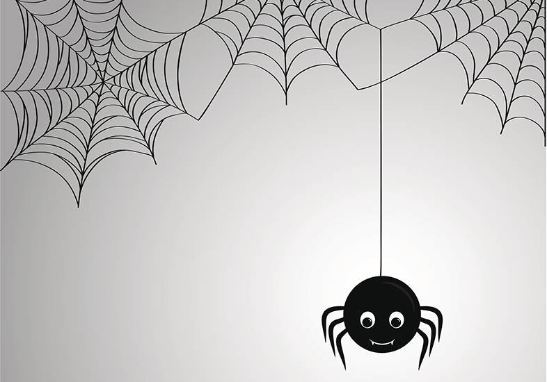 Halloween ou vida real? Aranha carrega rato maior que ela pela parede