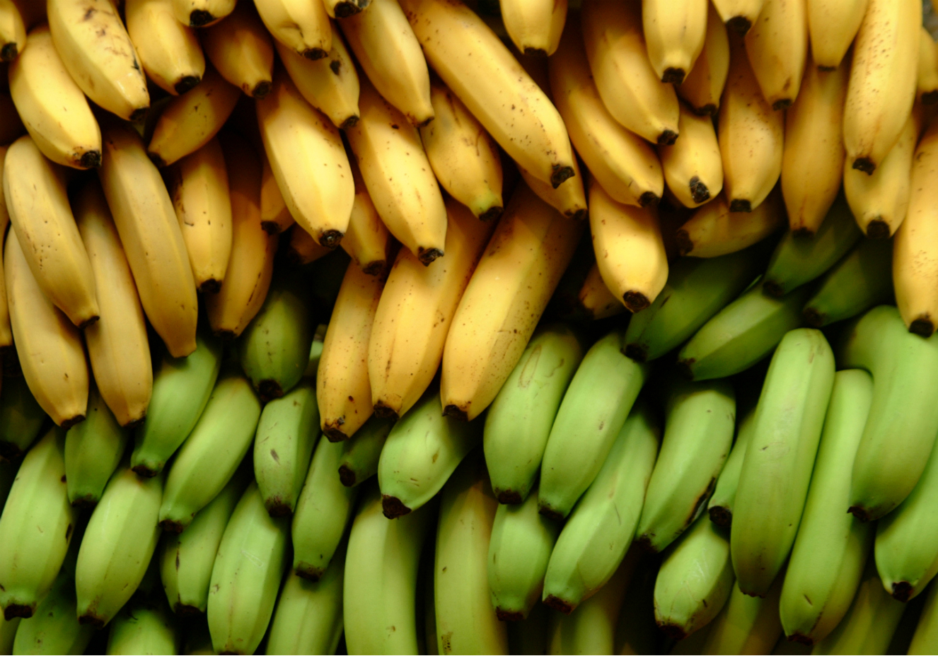 Creative Commons / tongwongboot