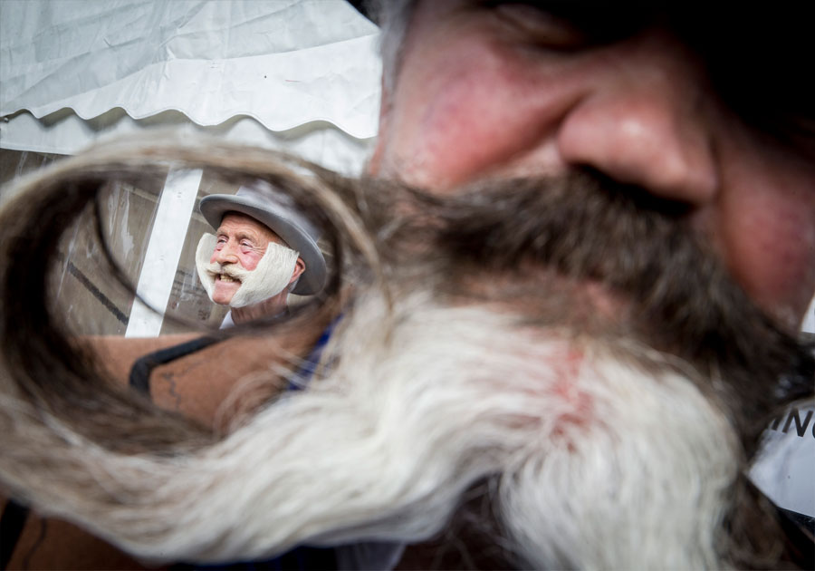 Reprodu&ccedil;&atilde;o/GettyImages JanHetfleisch