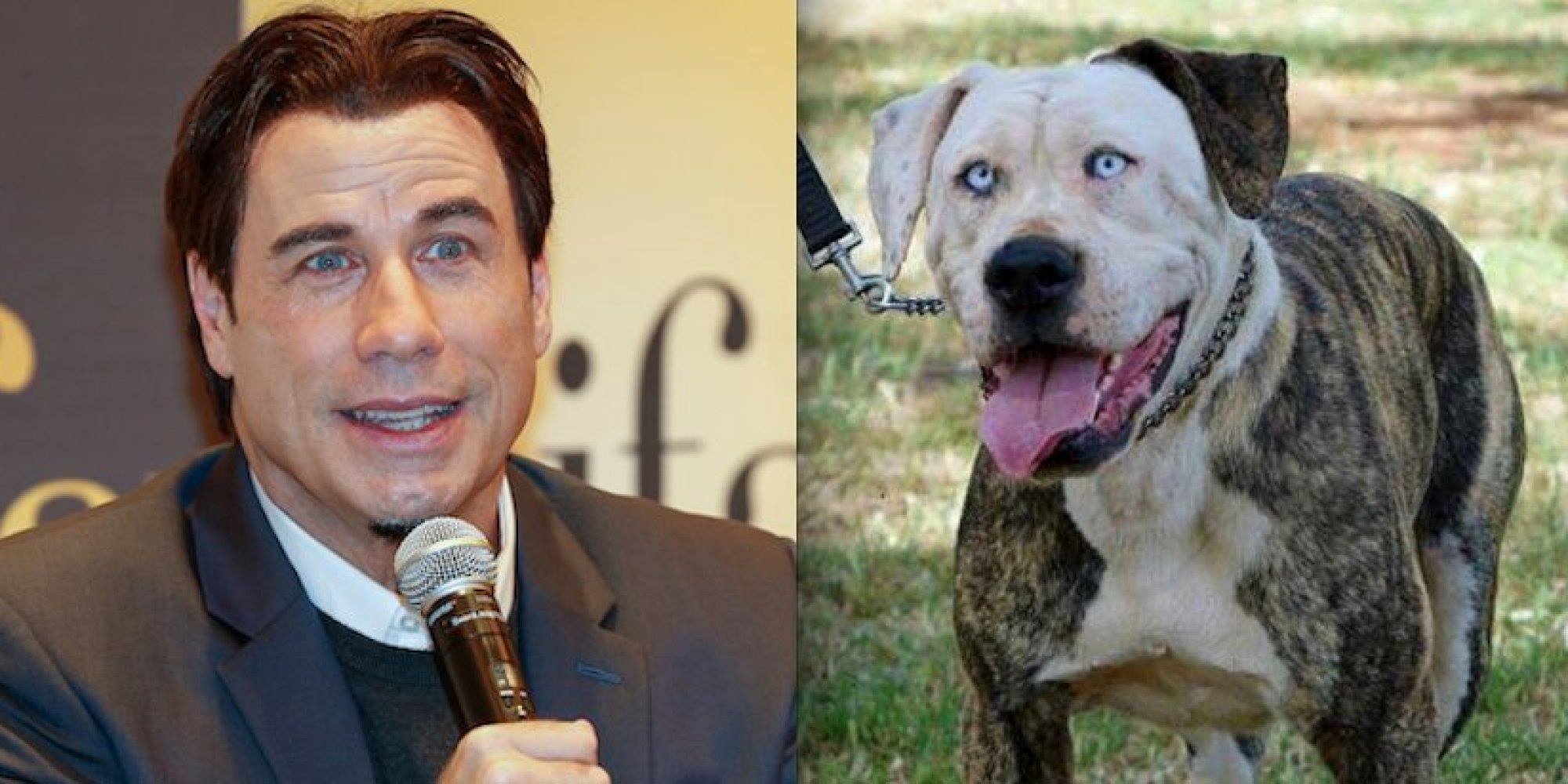 Reprodu&ccedil;&atilde;o/Facebook