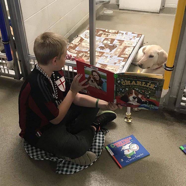 Crianças leem para cães que sofreram maus tratos e a melhora é visível!