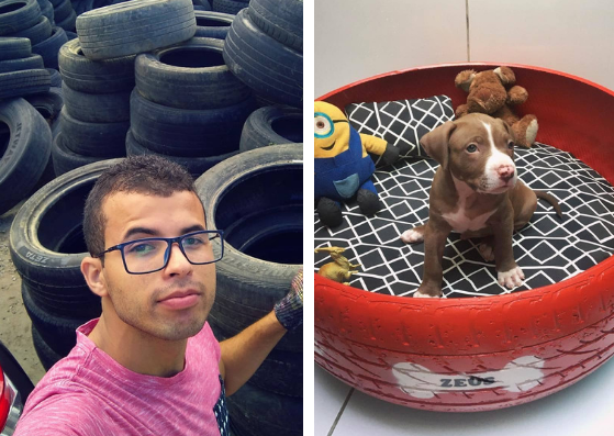Artista recolhe pneus descartados e cria lindas camas para animais