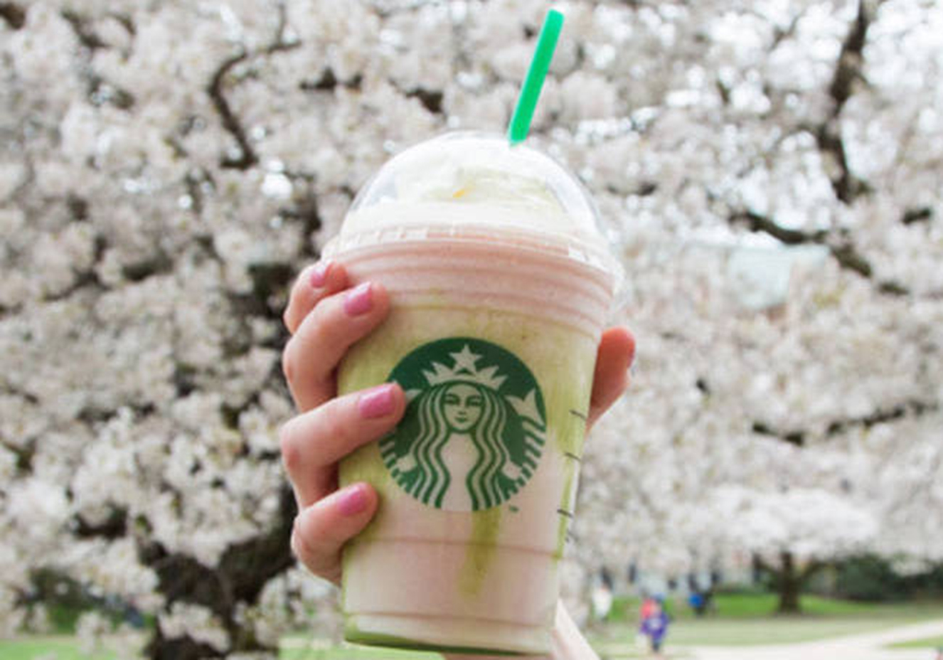 Reprodu&ccedil;&atilde;o