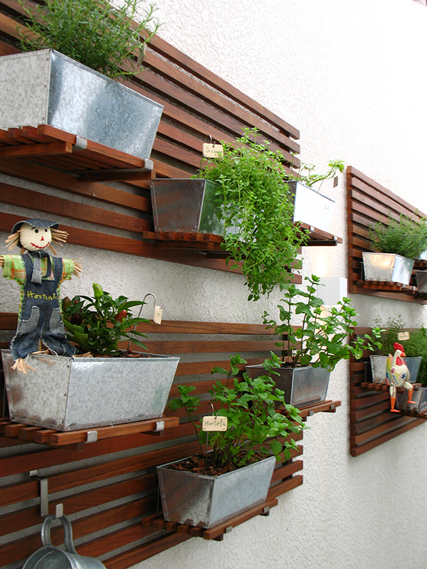 como-ter-uma-horta-em-casa-1