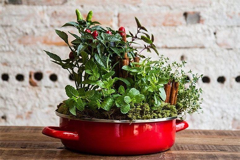 como-ter-uma-horta-em-casa-diy-enthusiasts