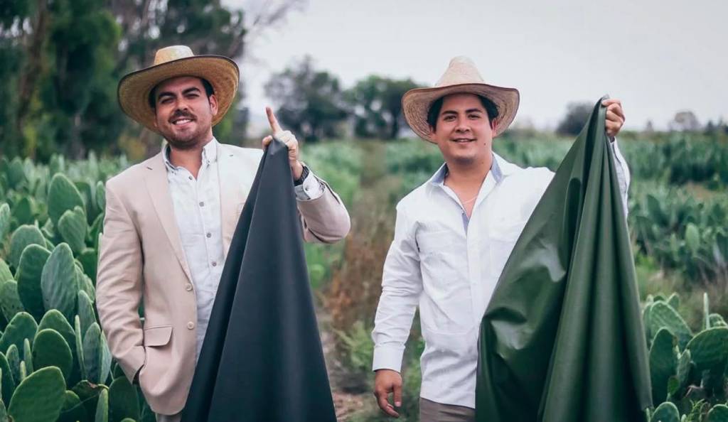 Couro de cacto: alternativa para moda consciente vira sensação