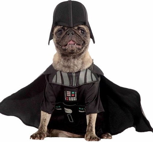 drth vader dog drth-vader-dog