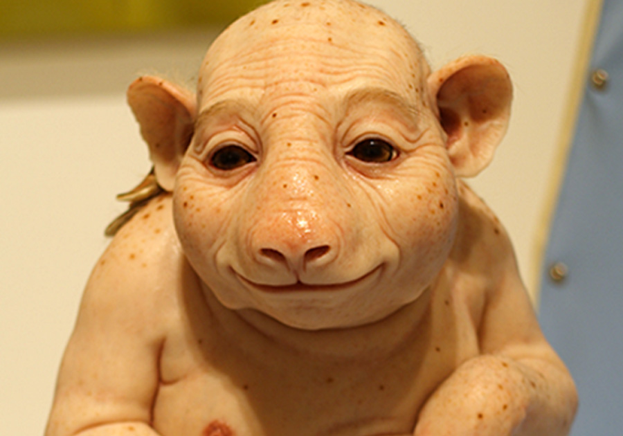 Divulga&ccedil;&atilde;o