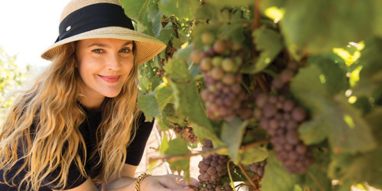 Reprodu&ccedil;&atilde;o/Divulga&ccedil;&atilde;o