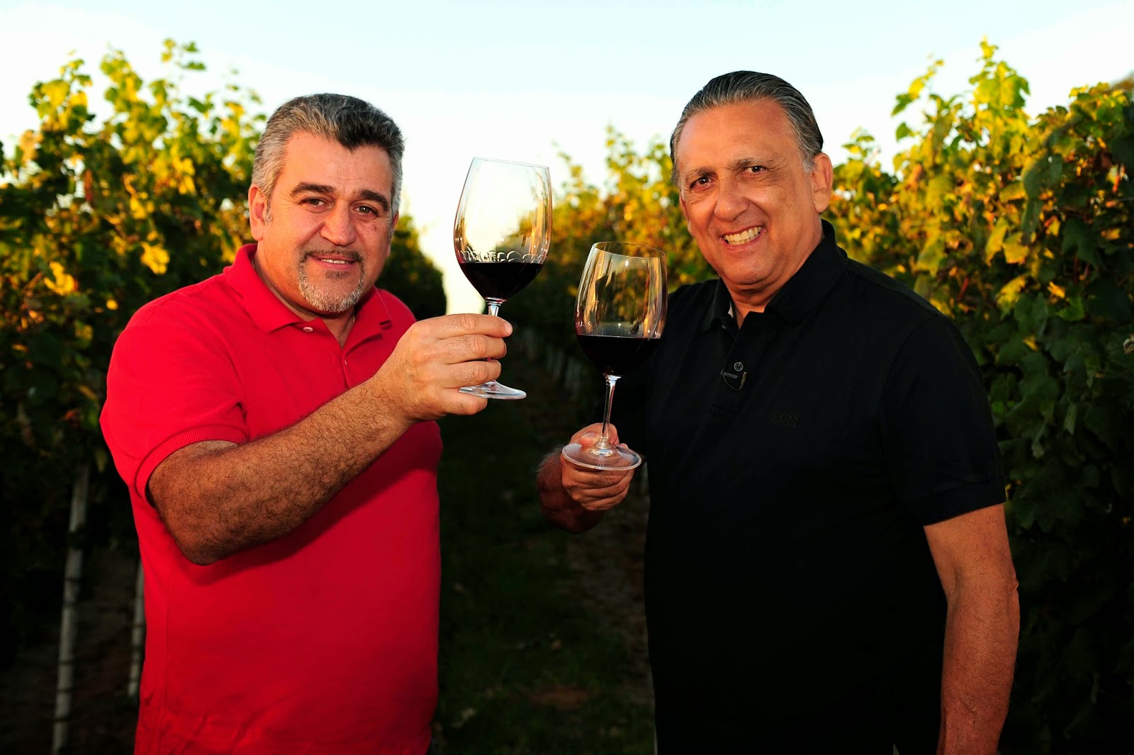 Reprodu&ccedil;&atilde;o/Divulga&ccedil;&atilde;o