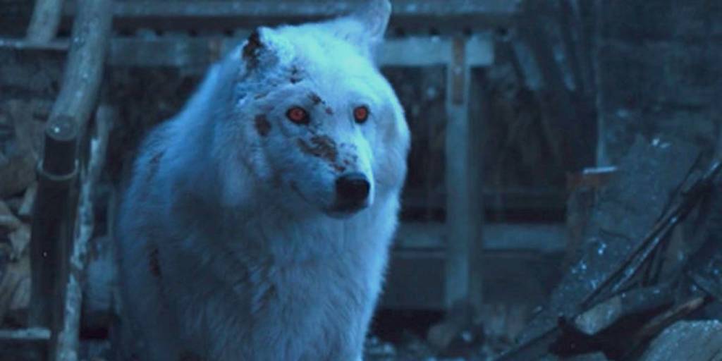 Diretor de GoT explica por que Jon Snow não se despediu do Fantasma