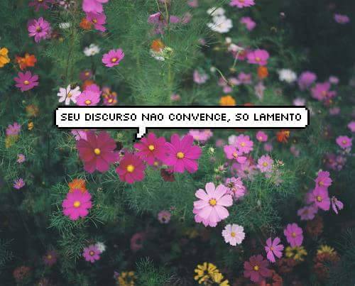 Reprodu&ccedil;&atilde;o