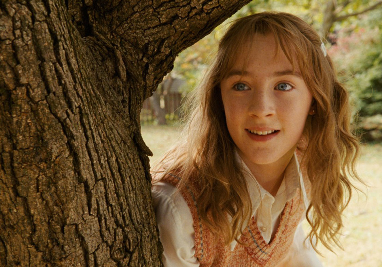 Divulga&ccedil;&atilde;o