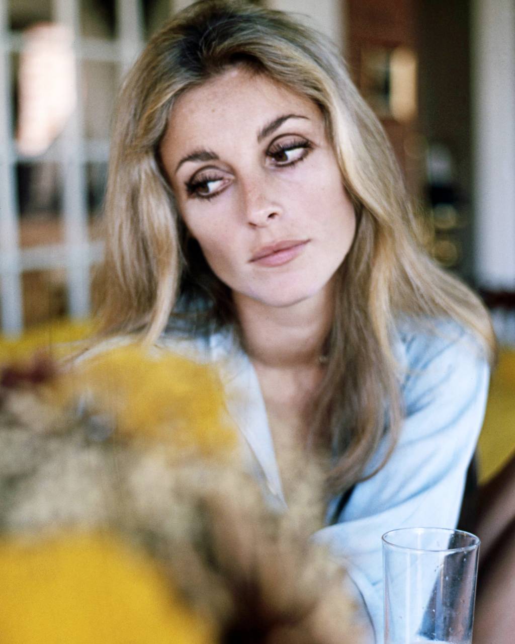 Sharon Tate Sharon Tate