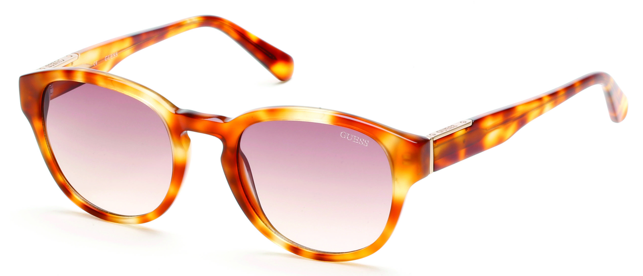 Divulga&ccedil;&atilde;o