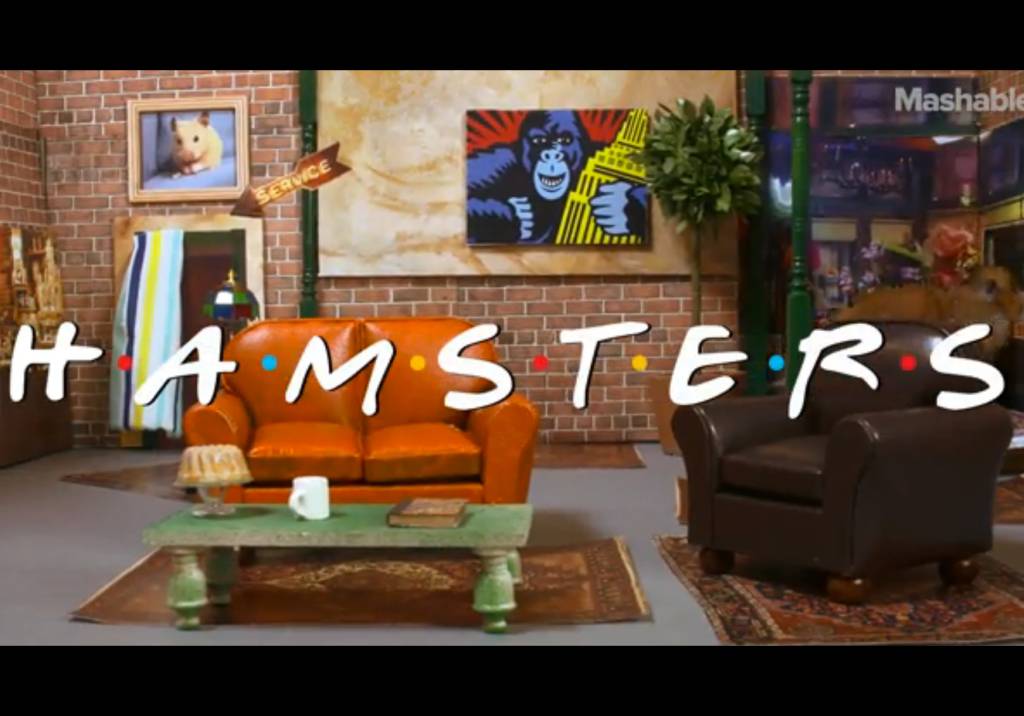 Recriaram a abertura de Friends e as estrelas são… hamsters!