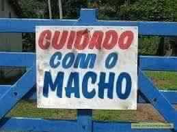 Reprodu&ccedil;&atilde;o