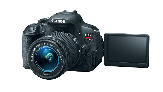 Divulga&ccedil;&atilde;o