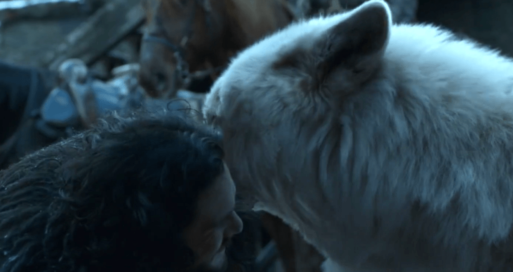 Jon Snow e Fantasma na 8ª temporada de Game of Thrones Jon Snow e Fantasma na 8ª temporada de Game of Thrones