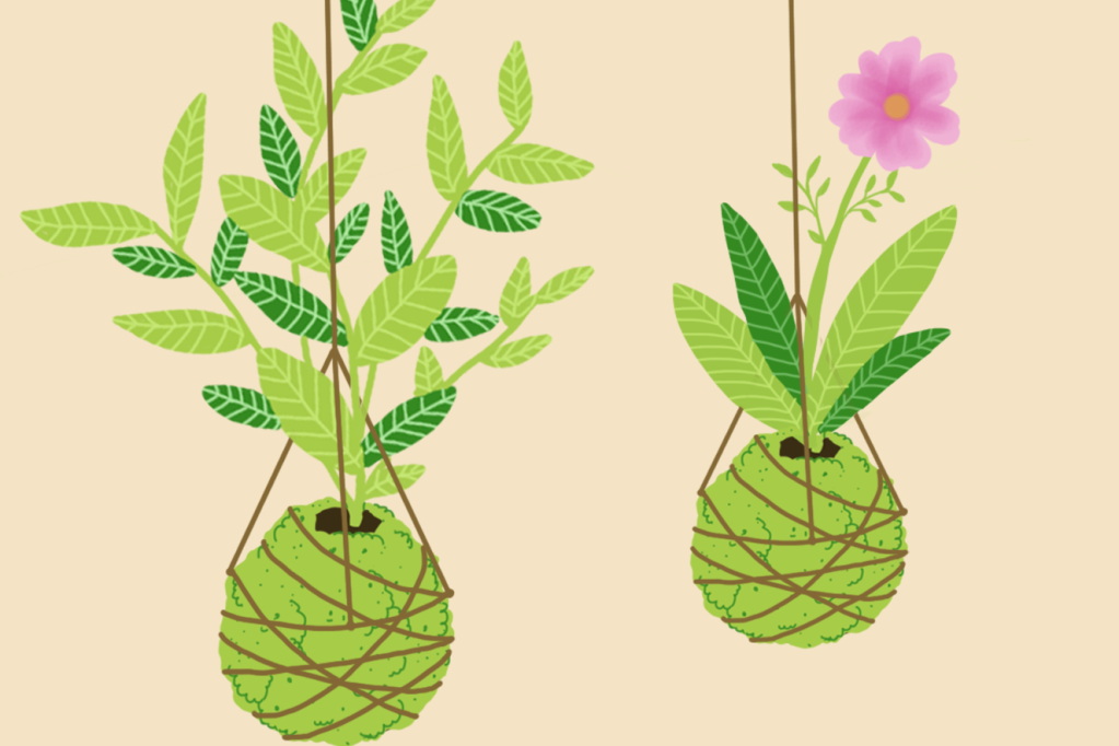 Sabe o que é kokedama? Veja o passo a passo para fazer a bolinha de musgo