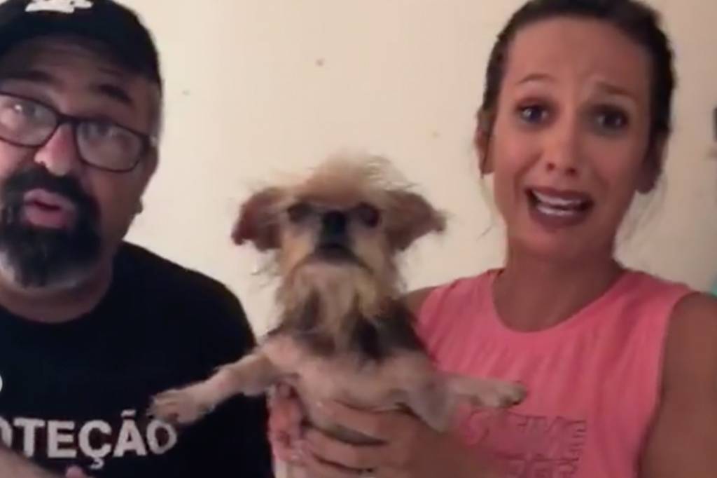 Luisa Mell fez outro resgate: mais de 100 animais em situação revoltante