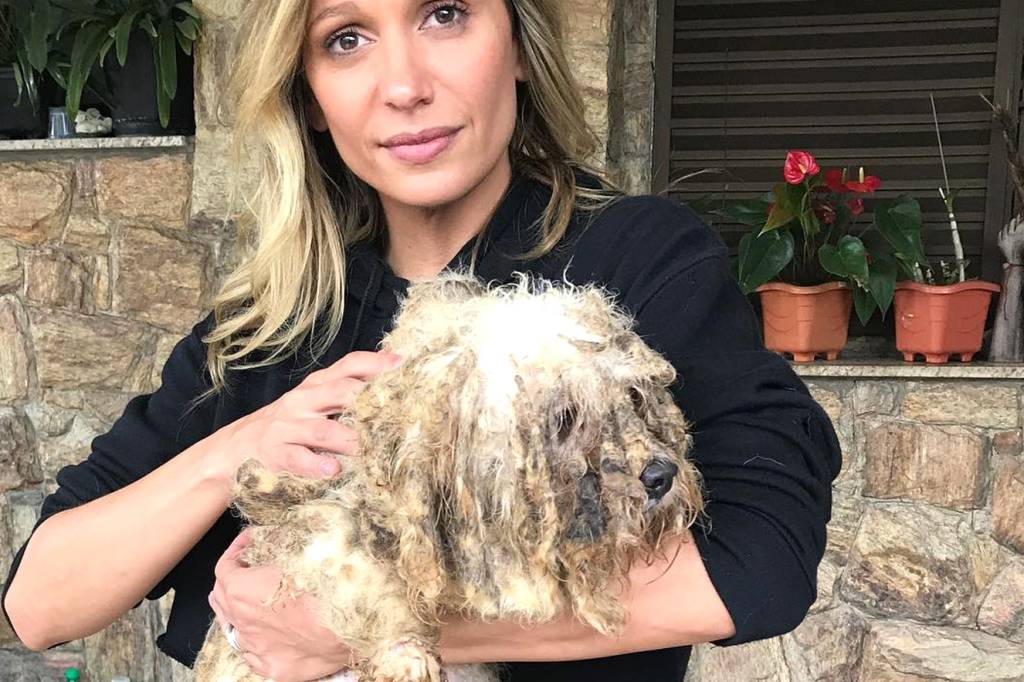Os cães salvos por Luisa Mell finalmente estão sendo tratados bem