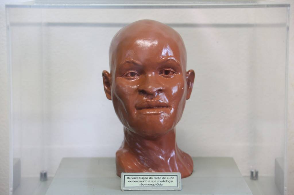 Crânio de Luzia é encontrado nos escombros do Museu Nacional