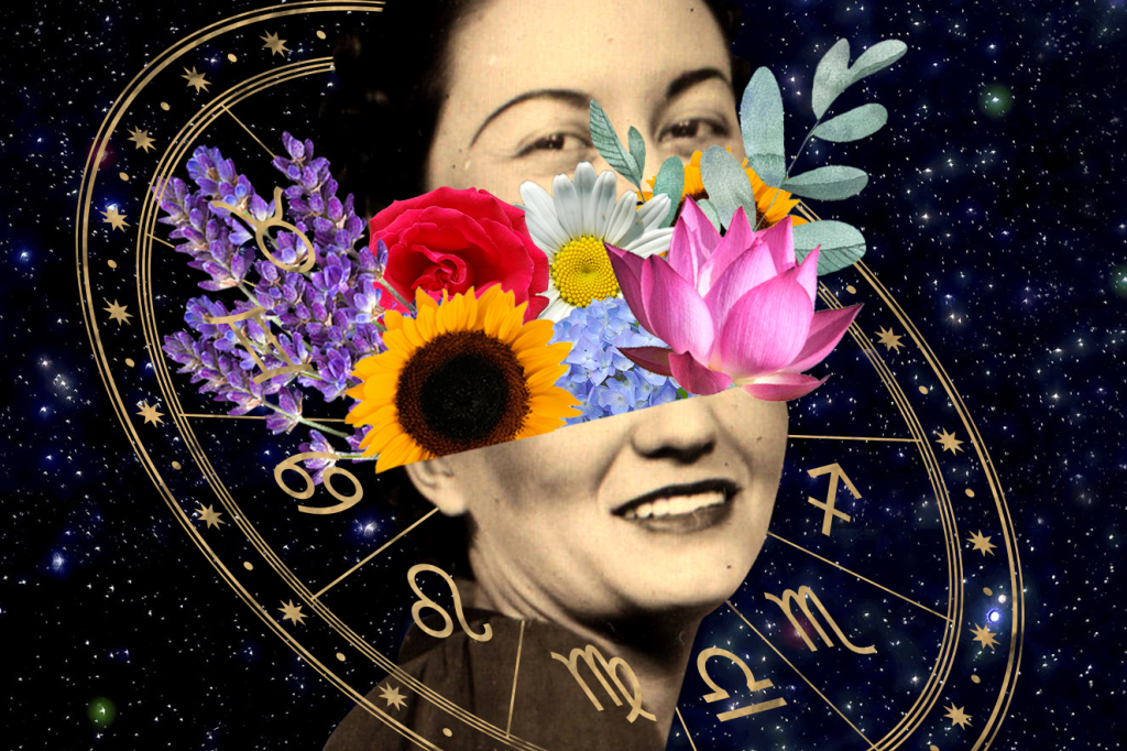 A flor de cada signo: descubra qual é a da sua mãe e acerte no presente