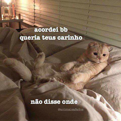 Meme e cantada para o crush