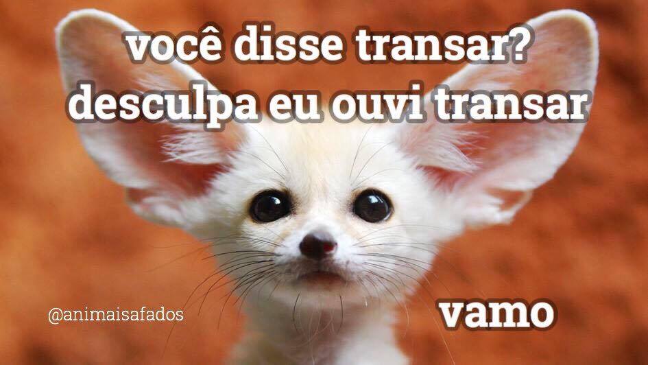 Meme e cantada para o crush