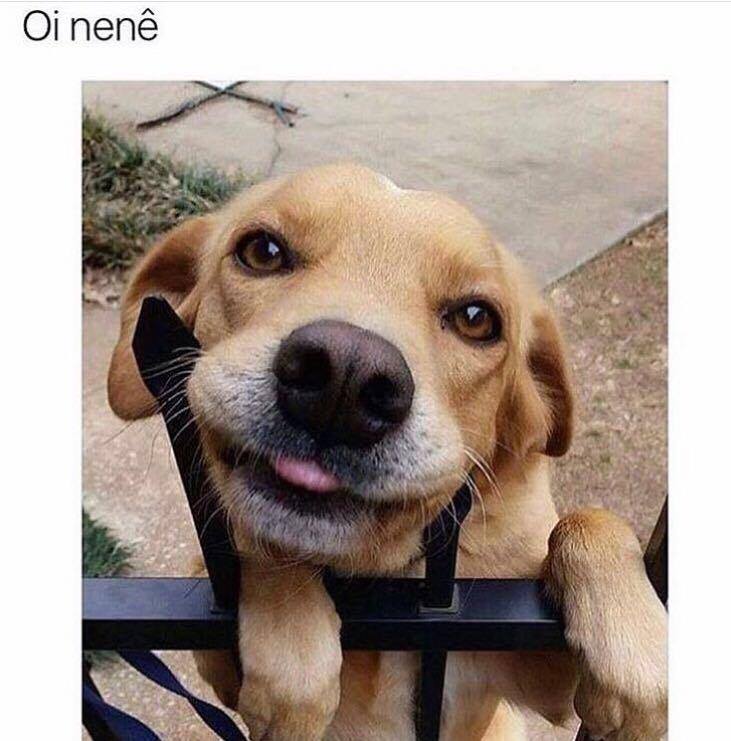 Meme e cantada para o crush