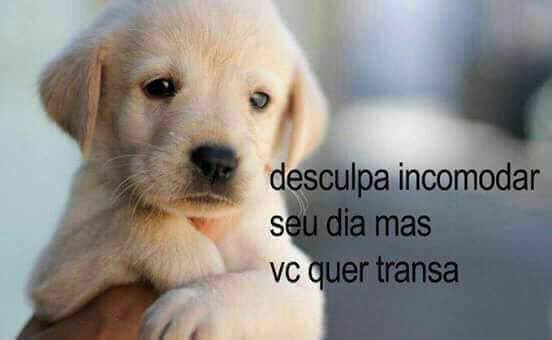 Meme e cantada para o crush