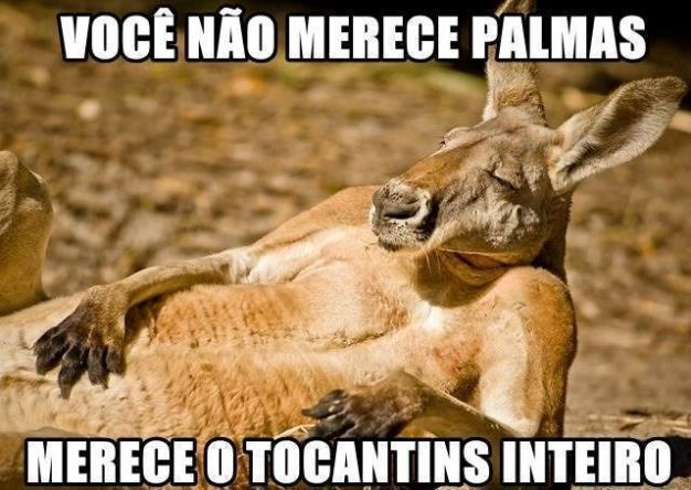 Meme e cantada para o crush