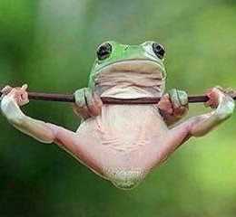 Meme e cantada para o crush