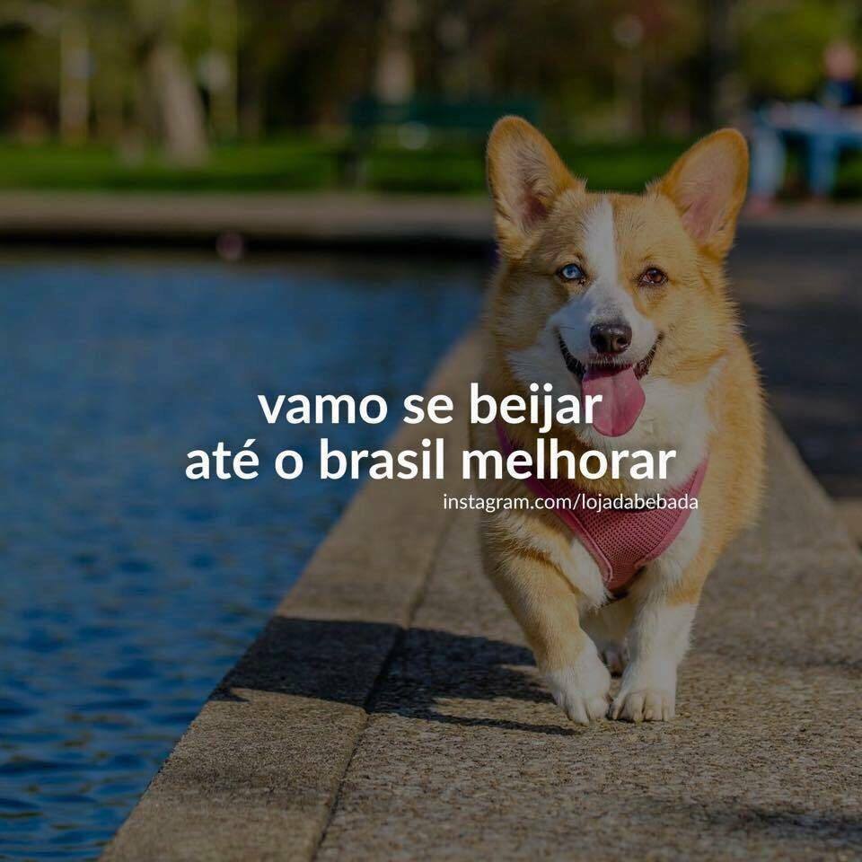 Reprodu&ccedil;&atilde;o